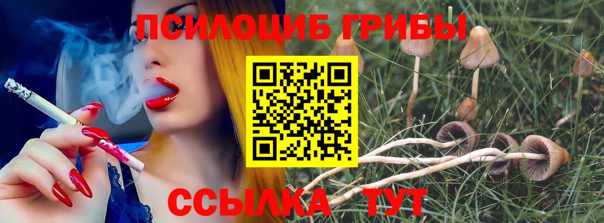 Псилоцибиновые грибы мицелий Минусинск
