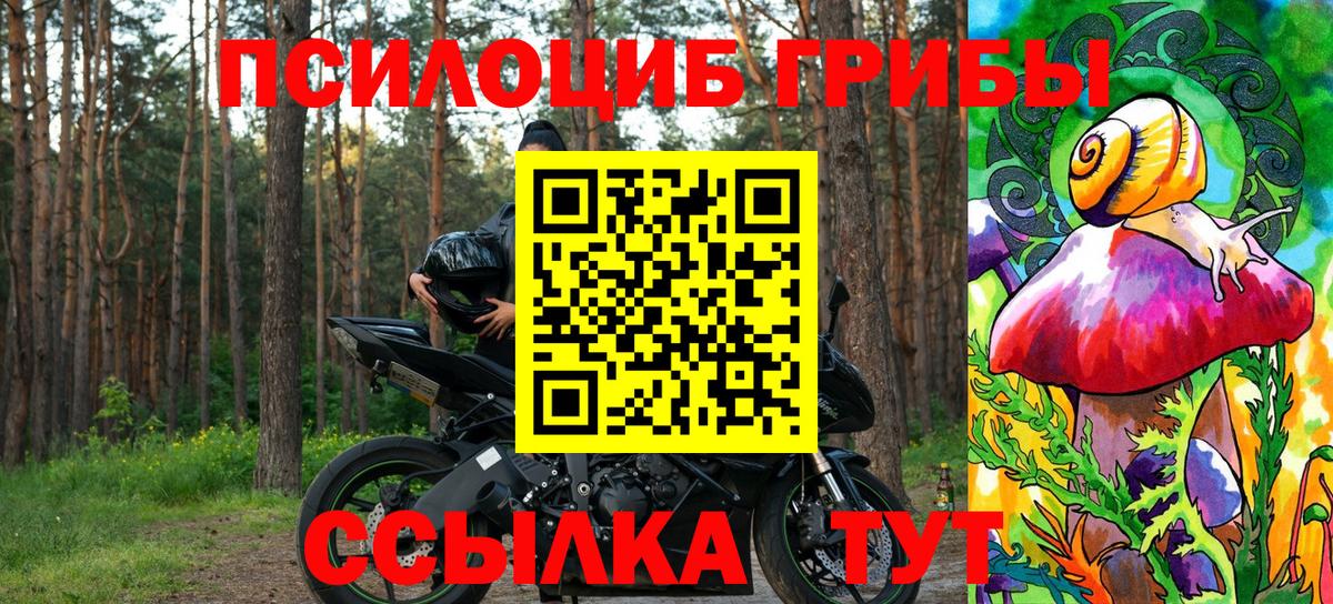 Минусинск  Галлюциногенные грибы Magic Shrooms  Псилоцибиновые грибы прущие грибы  Вход с VPN 